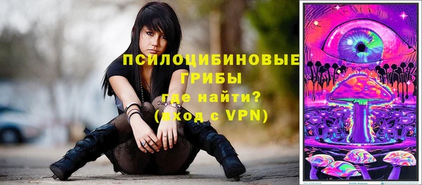 твердый Нефтегорск