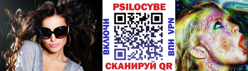 Псилоцибиновые грибы Cubensis  купить закладку  Спас-Клепики 